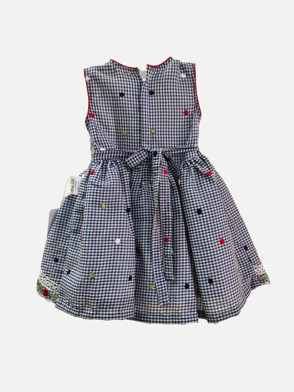 Navy Gingham Cotton Frock for Baby Girls with Red Bow