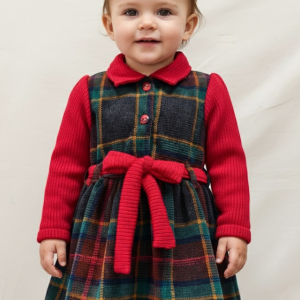 Red Plaid Holiday Dress with Ribbed Collar